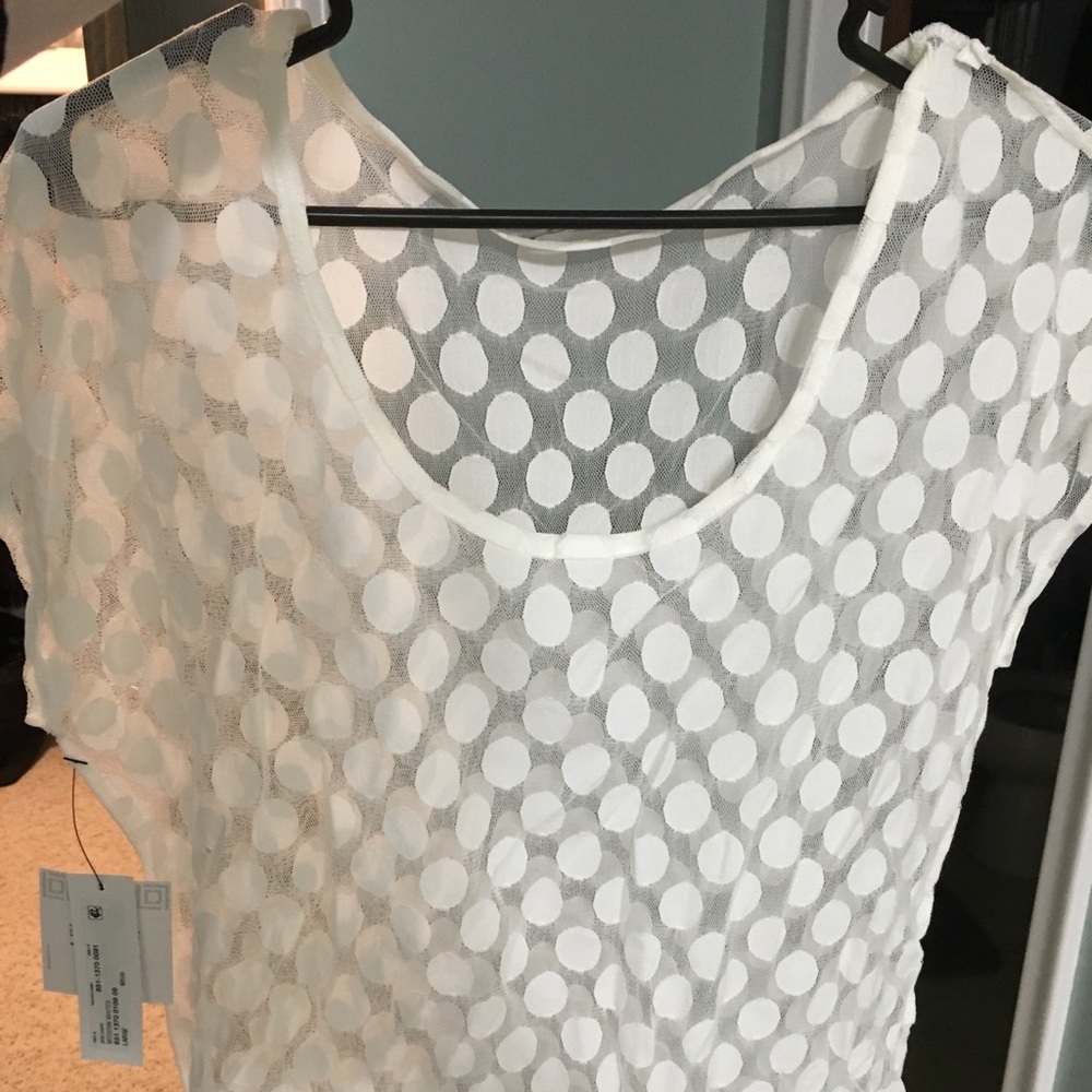 Sheer Polka Dots